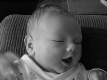 Eleu a few days old