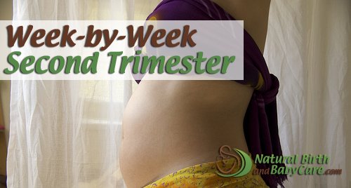 A 20 week belly on the second trimester week by week page