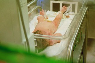 newborn isolated in a box