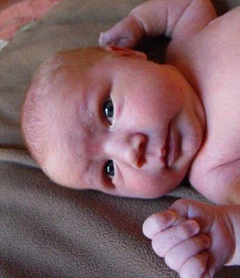 I just love this newborn face!