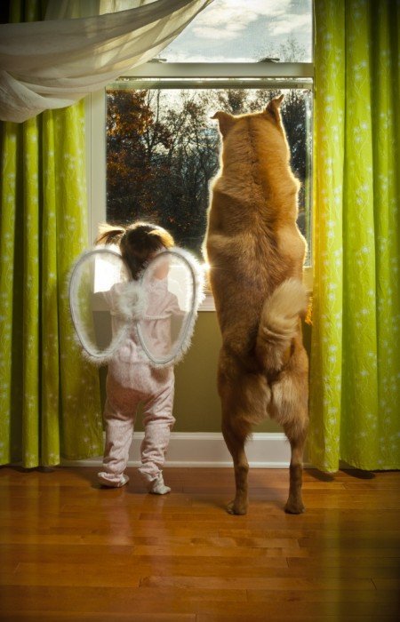 Sweet angel baby and her angel dog