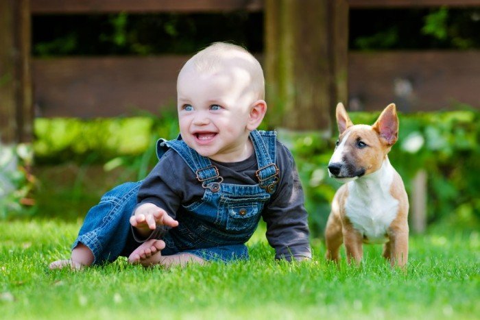 Baby and puppy explore outside