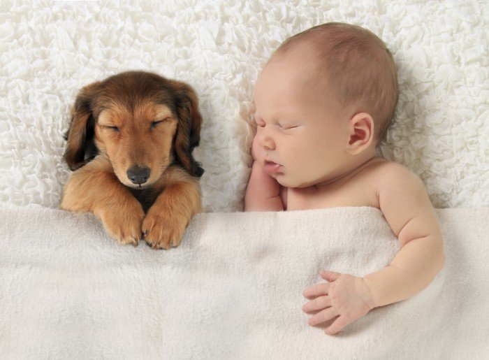 Newborn and puppy sleep next to each other
