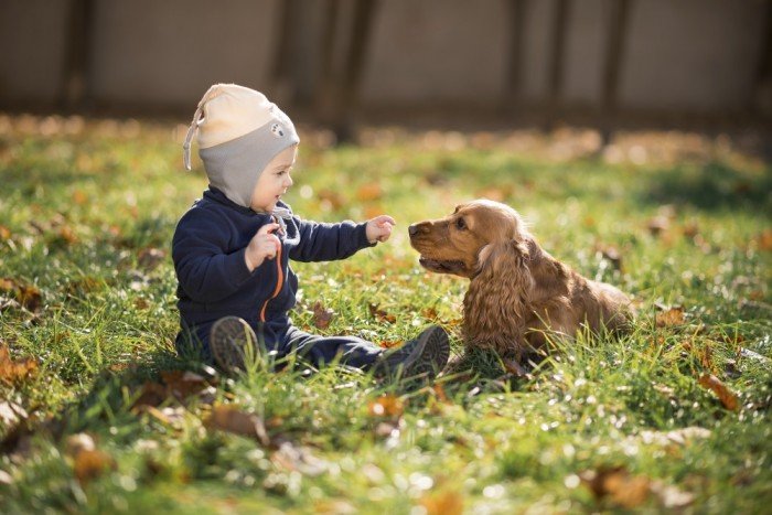 Baby boy plays with his dog
