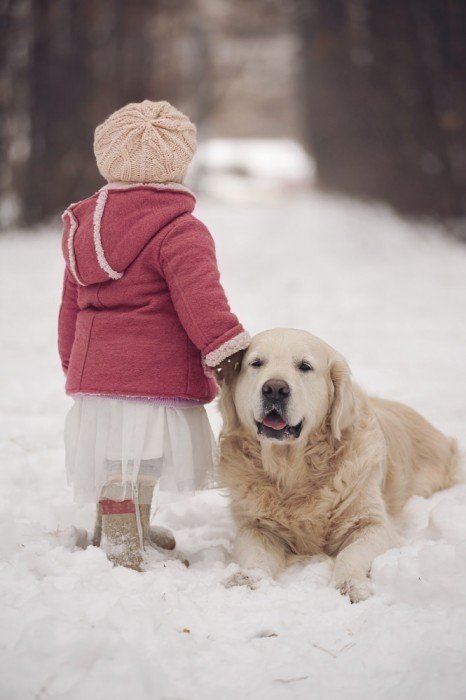 Toddler girl and her dog in the snow
