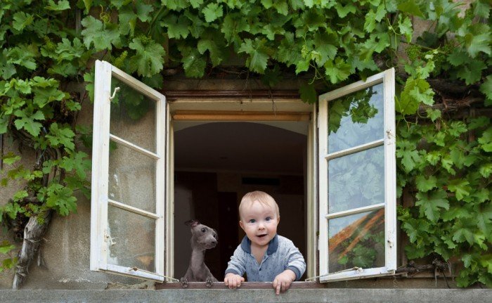 Baby and puppy look out window
