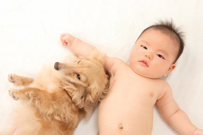 Cute chubby baby with cute dog