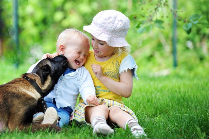 Laughing baby licked by dog