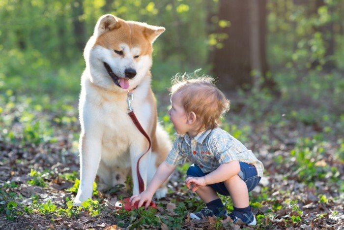 Out and about with dog