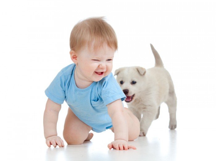 Puppy Chases Baby Boy