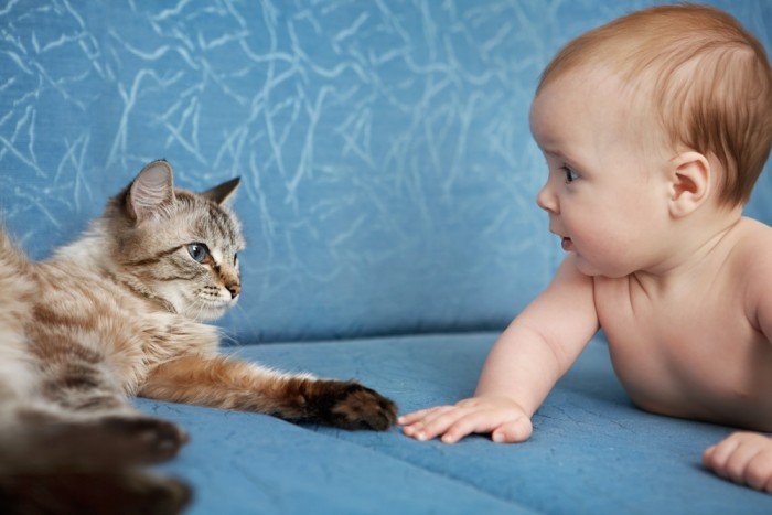 Surprised baby watches cat