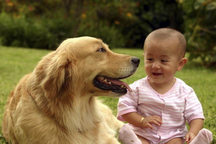 Little girl and her dog
