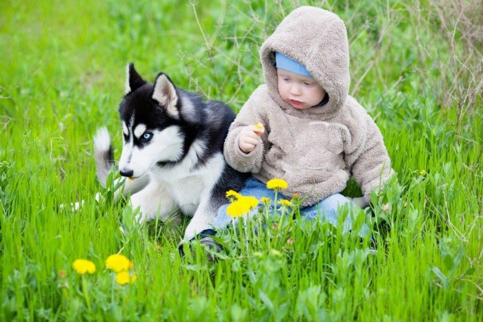 Sweet boy and his husky