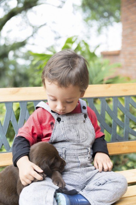 Toddler cuddles a new puppy