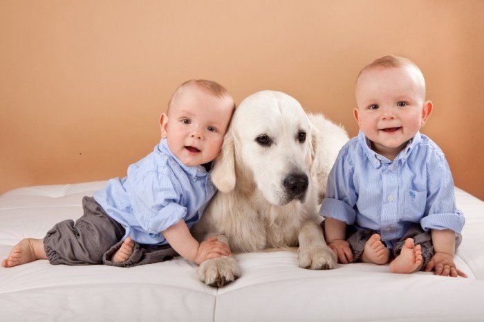 Twins and their dog