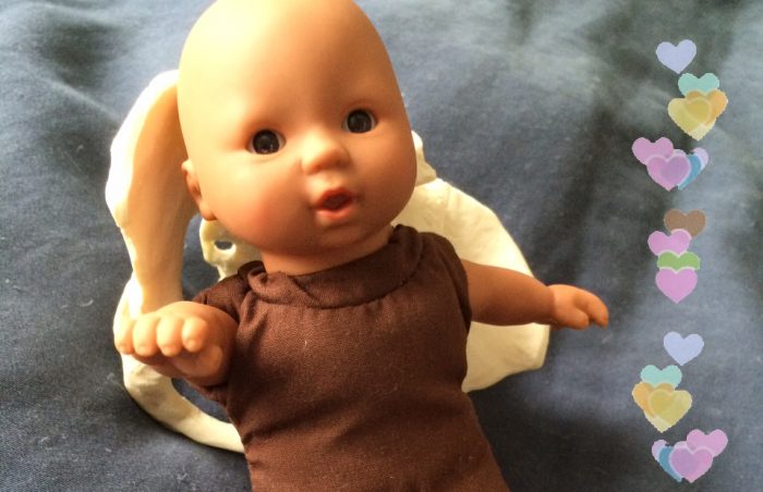 baby elvis and the amazing pelvis