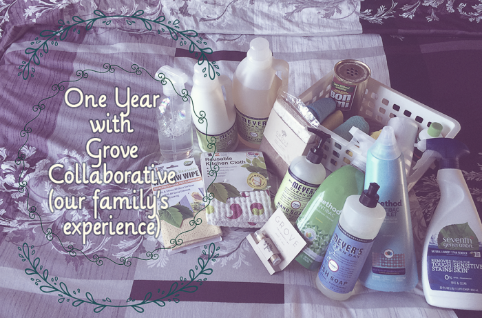 One Year with Grove Collaborative