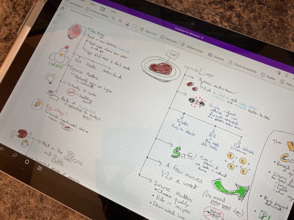 Real food for pregnancy notes