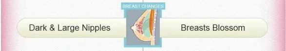 Image showing darkening of the nipples can indicate a boy while fuller breasts can indicate agirl