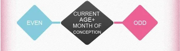 Infographic showing how to calculate moms age and month of conception to determine gender