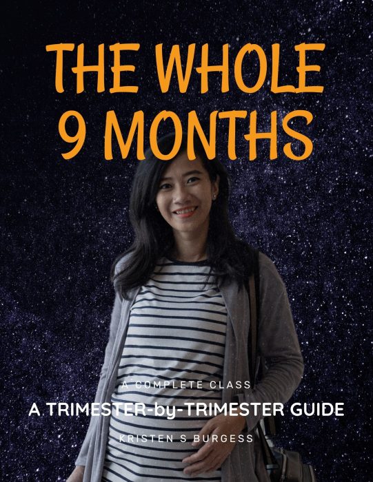 The Whole 9 Months The whole 9 months cover