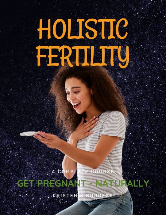 Holistic Fertility Cover Holistic Fertility Cover
