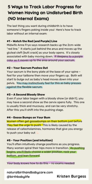 5 Ways to Track Labor Progress for Women Having an Undisturbed Birth ...