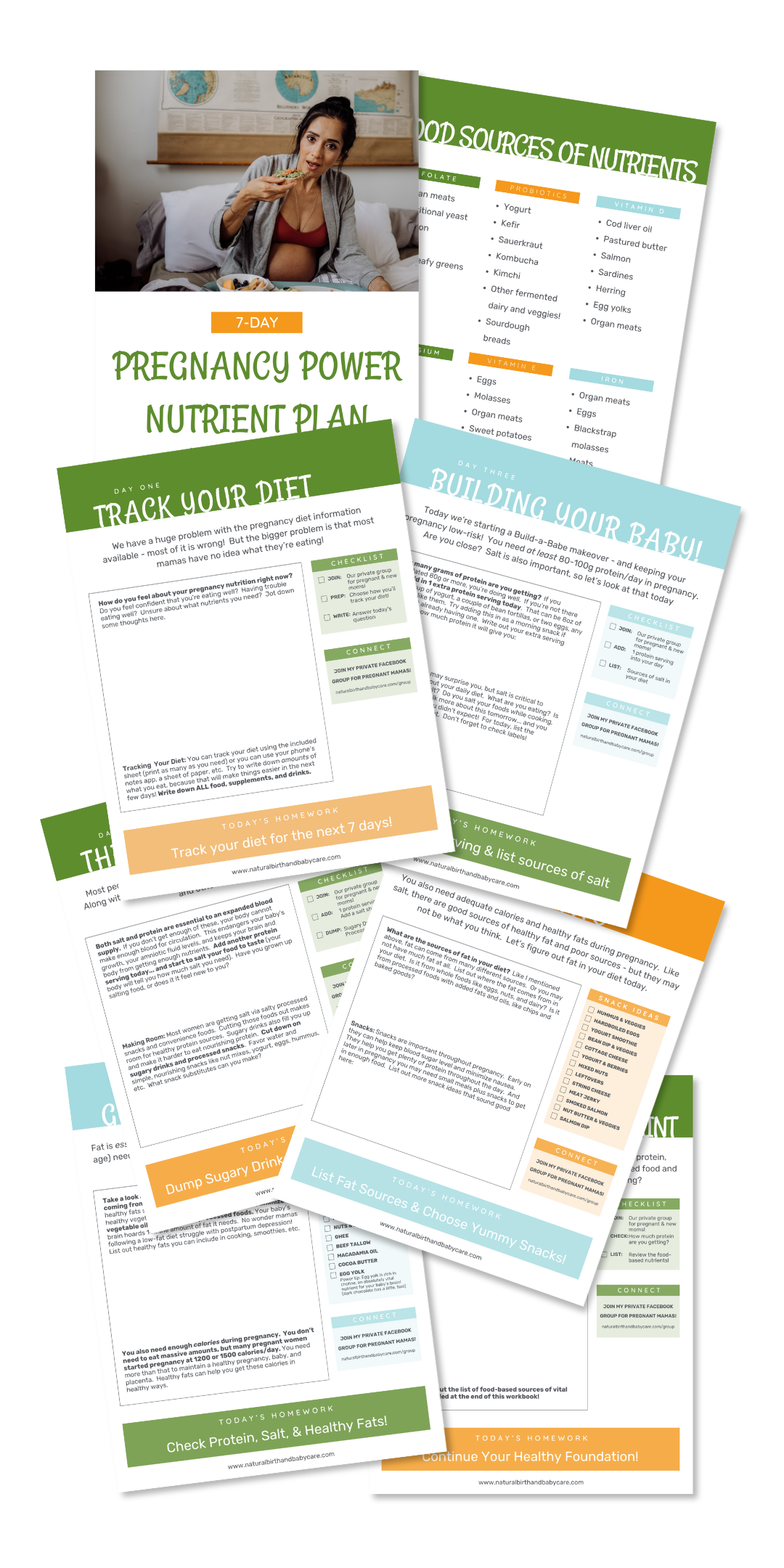 graphic showing pdf pages 