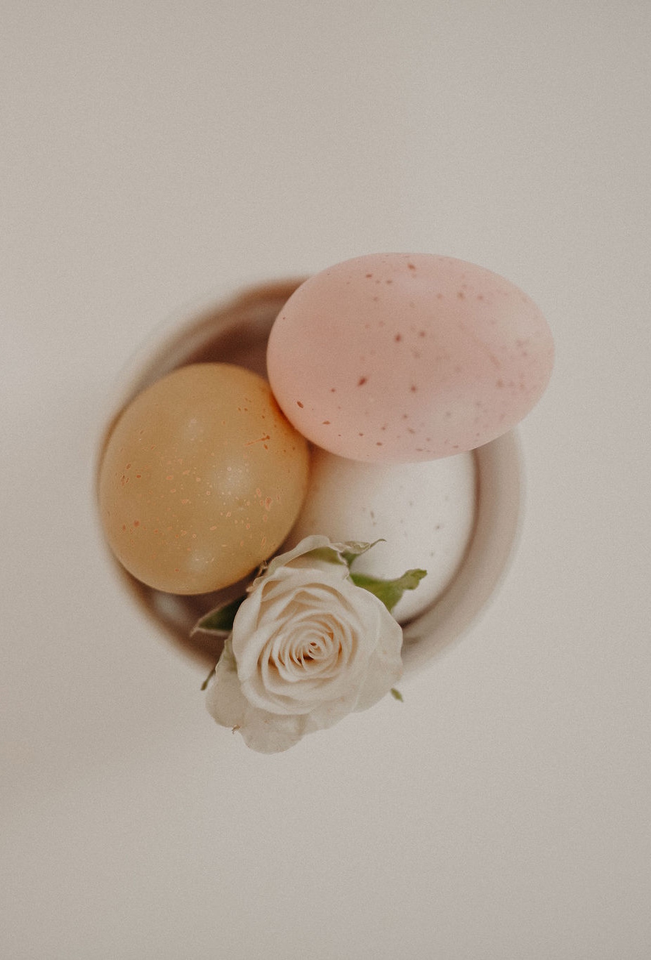 MOdule 4 Quality Sperm and Eggs Eggs in a pretty basket